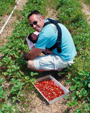 Mike Picking Strawberries with Olivia