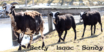 Betty ~ Isaac ~ Sandy