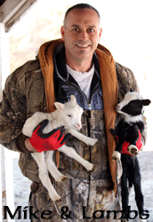 Mike & Lambs
