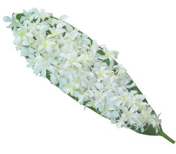 Hawaiian Luau Wedding Cake Flowers